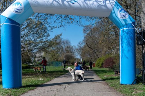 Tekintse meg galériánkat! (1/23)