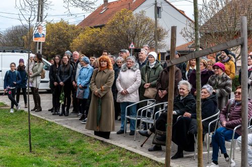 Tekintse meg galériánkat! (1/21)