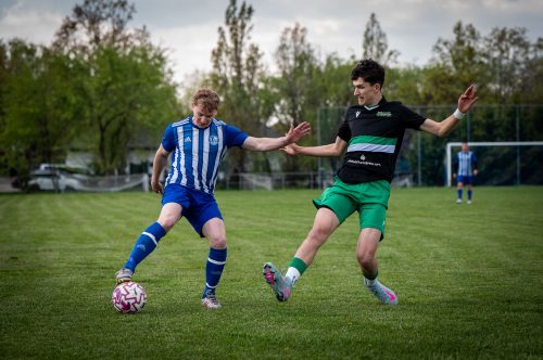 Tekintse meg galériánkat! (1/31)