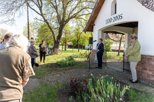 Tekintse meg galériánkat! (1/19)