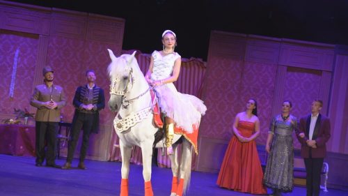 Tekintse meg galériánkat! (1/20)