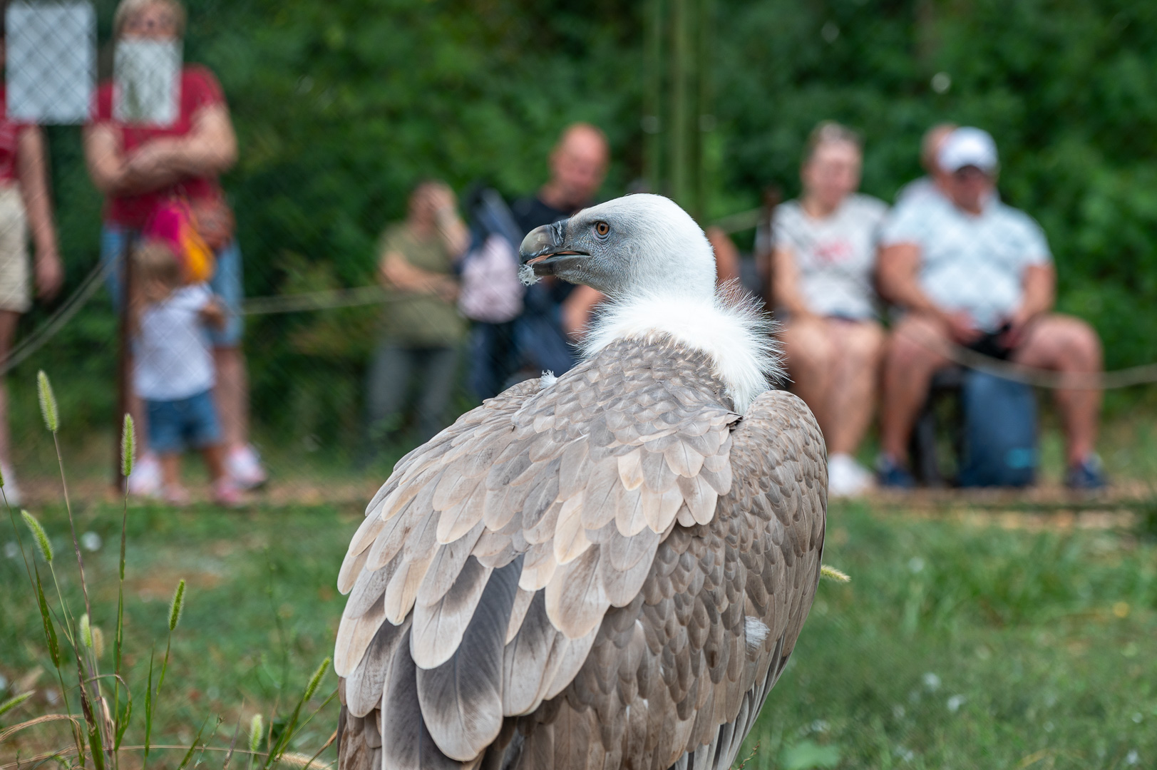 20260829-DSC_0062