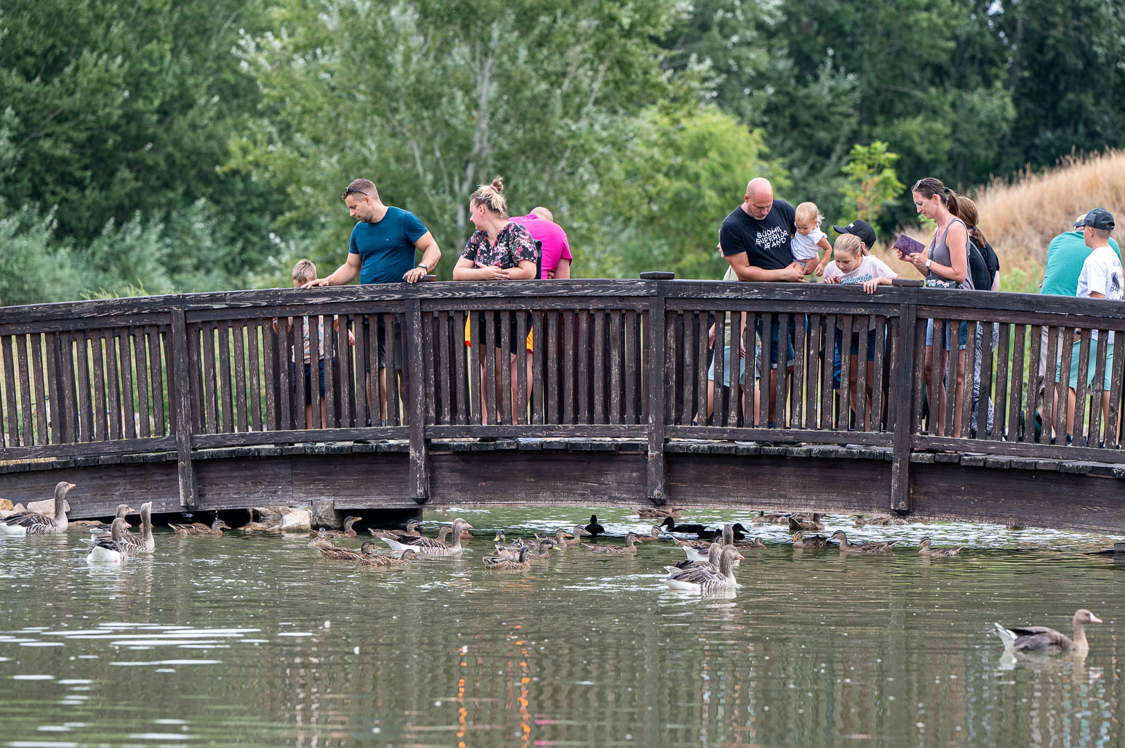 20260829-DSC_0210