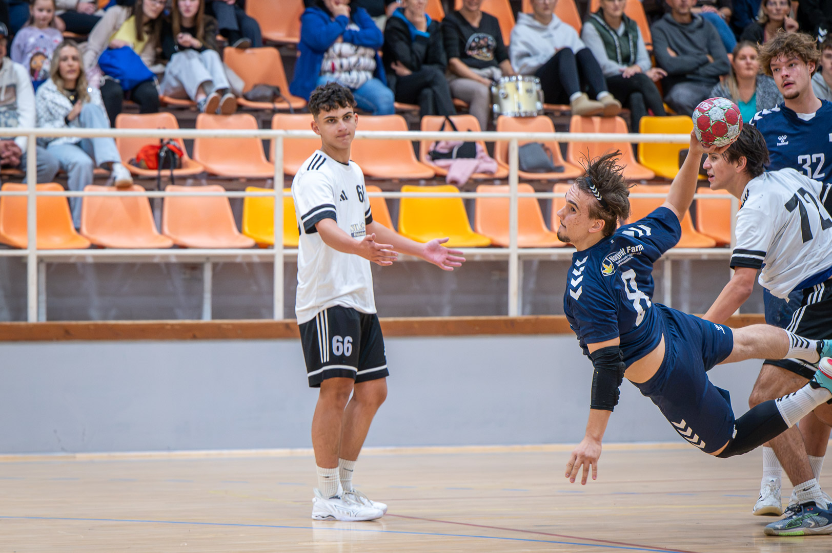 20261010-DSC_0413