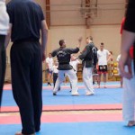 130326hapkido