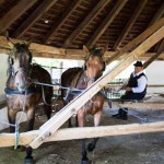 Bencsik Pál, Kedves és Jellem őröl