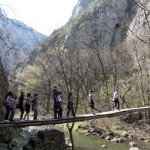 Vajdások Erdélyben