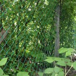 Zártkert vagy dzsungel?