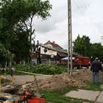 Favágás a Kossuth utcán