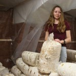 Az első gombatermés Szentandráson