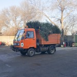 Fenyőfák a KOMÉP telephelyén