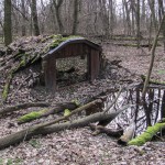 Fotósles az állatparkban