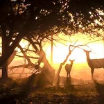 Fotó: Szekretár Csaba