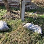 A kép illusztráció (Fotó: Babák Zoltán)