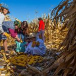 Fotó: Babák Zoltán