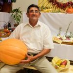 Fotó: Hegedűs Éva