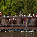 Fotó: Babák Zoltán