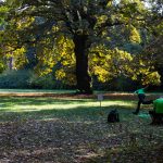 Fotó: Babák Zoltán