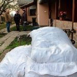 Fotó: Hegedűs Éva