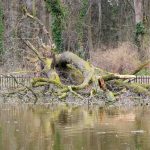 Fotó: Babák Zoltán