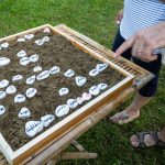 Fotó: Babák Zoltán