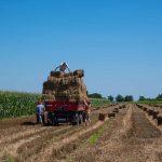 Zajlik a bálázázás Csabacsűdön (Fotó: Babák Zoltán)