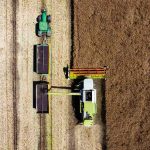 Repcét aratnak a Nagyrét Farm kombájnjai július 9-én (Fotó: Babák Zoltán)