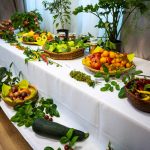 Fotó: Babák Zoltán