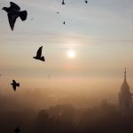 Fotó: Babák Zoltán