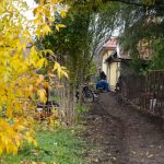 Fotó: Babák Zoltán