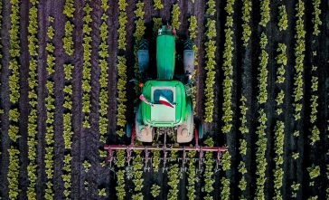 Mezőgazdaság felülről (Fotó: Fabó Balázs)
