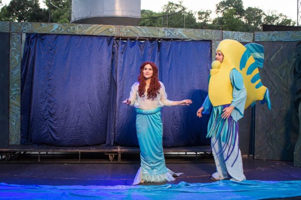 Ariel