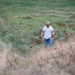 Kaszáló a Gödény-halomnál