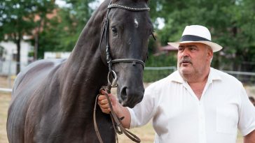 A hároméves csődör és gazdája, Nagy János "Cánó"