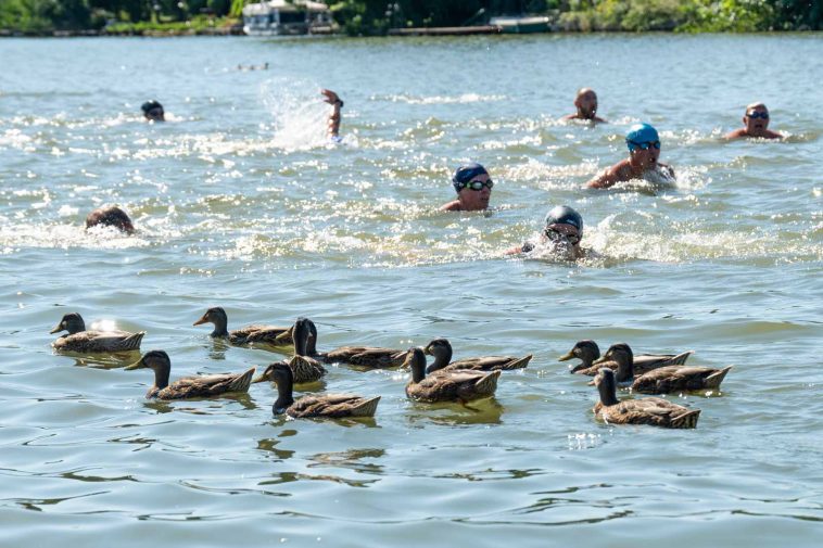 Úszók egymás között a Trianoni Emléktusán