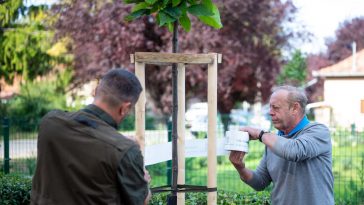 Szrnka Mihály erdőgazdálkodási ágazatvezető és Molnár József