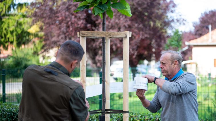 Szrnka Mihály erdőgazdálkodási ágazatvezető és Molnár József