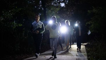 Éjszakai nyomozók a Pepi-kertben