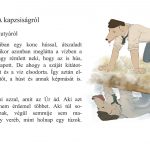 Egy dia a könyvből