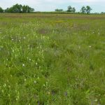 Referenciaterület (Fotó: Sallainé Kapocsi Judit)