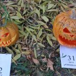 Fotó: Fábri Melinda