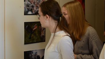 Kihirdették az idei Diós Kristóf Természetfotó Pályázat díjazottjait