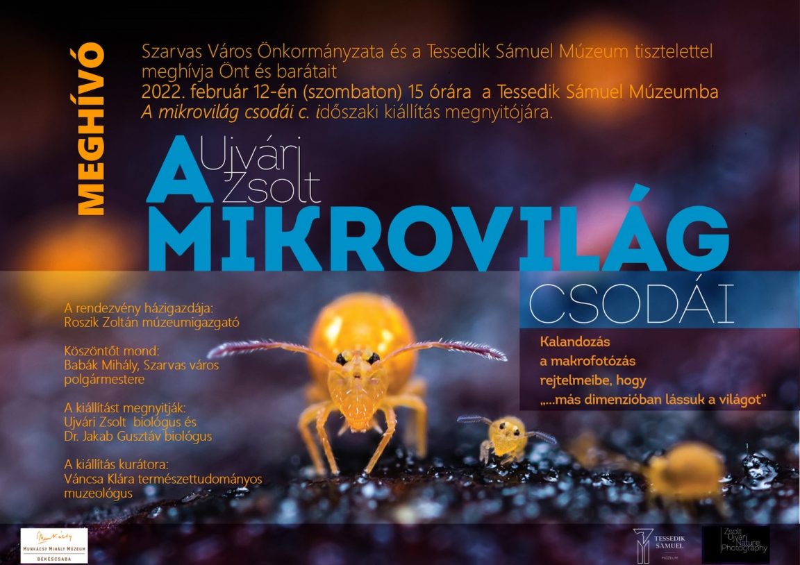 Ujvári Zsolt makrofotóiból összeállított kiállítás nyílik a Tessedik Sámuel Múzeumban február 12-én 15 órától