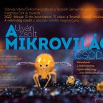 Ujvári Zsolt makrofotóiból összeállított kiállítás nyílik a Tessedik Sámuel Múzeumban február 12-én 15 órától