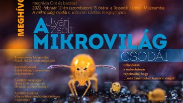 Ujvári Zsolt makrofotóiból összeállított kiállítás nyílik a Tessedik Sámuel Múzeumban február 12-én 15 órától