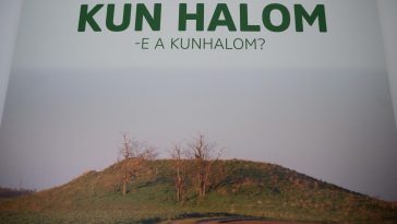 Minden, amit a kunhalmokról tudni szerettünk volna, de nem volt kitől megkérdezni