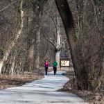 135 futó vett részt a Szarvasi Arborétumban vasárnap rendezett hangyafutáson