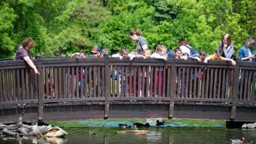 Látványetetésen ismerkedhettek a gyerekek a Körösvölgyi Állatpark madaraival