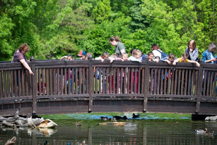 Látványetetésen ismerkedhettek a gyerekek a Körösvölgyi Állatpark madaraival