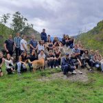 Vajdások Erdélyben